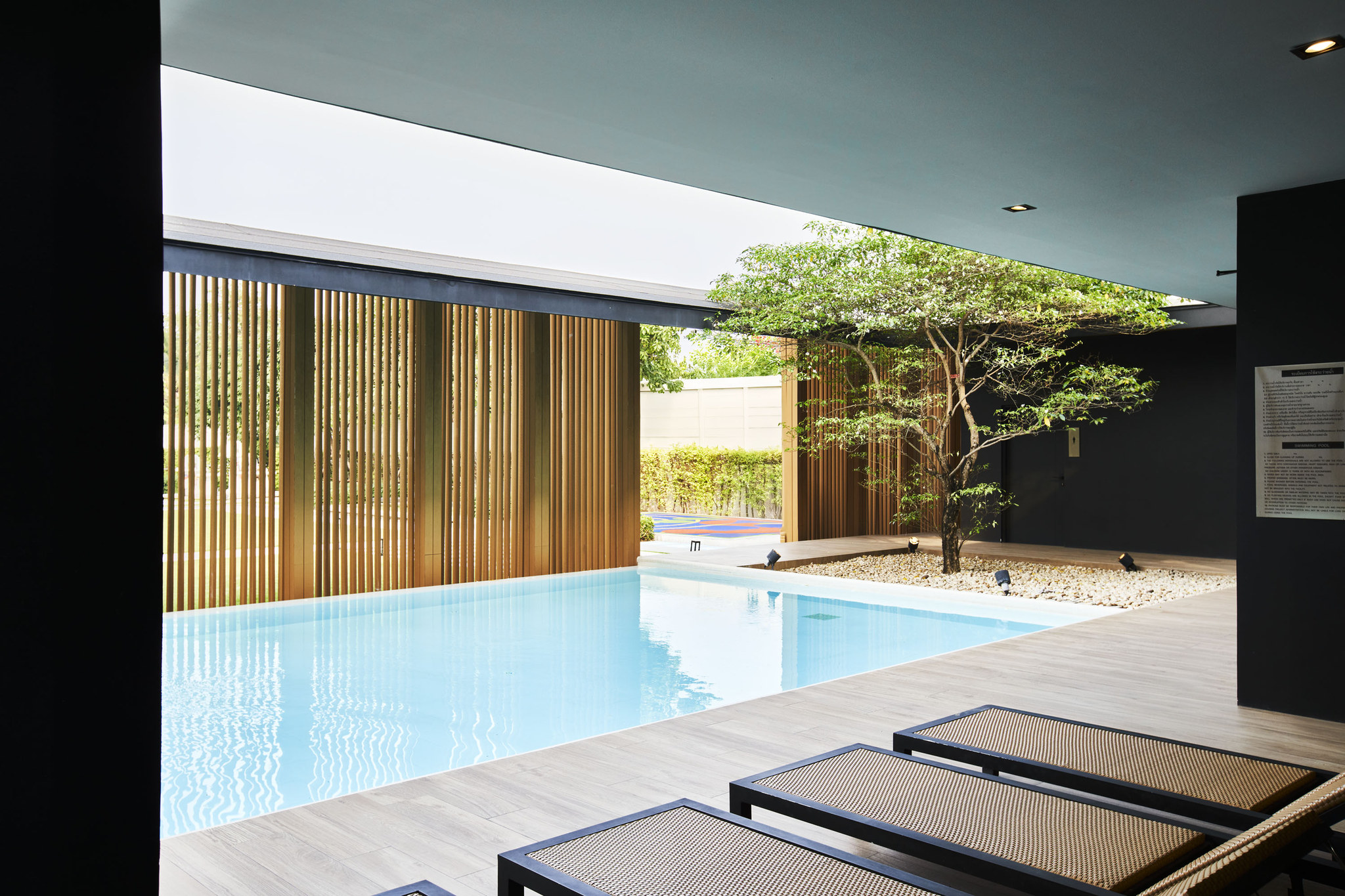 Garden & pool