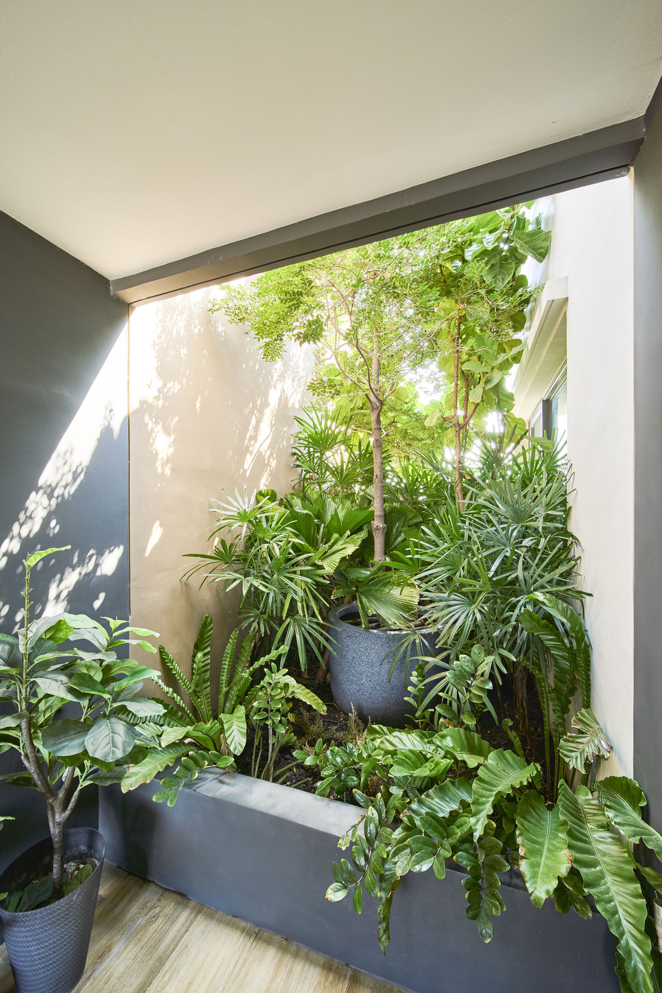 Garden detail